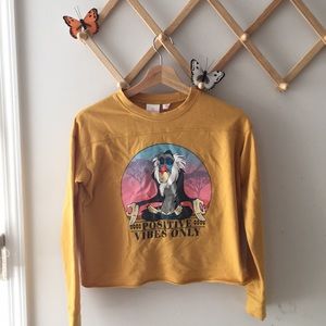 Lion King crop top